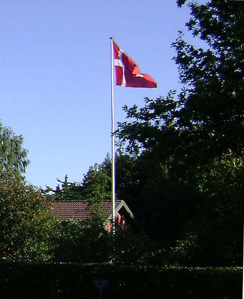 flag3