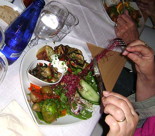 udflugt-veg-tapas